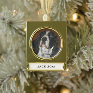 Engelse Springer Spaniel Pet Foto Verguld Banner Ornament