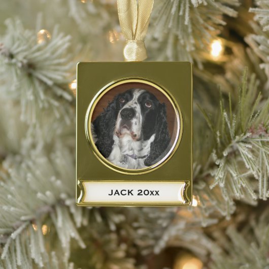 Engelse Springer Spaniel Pet Foto Verguld Banner Ornament (Boom)