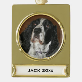 Engelse Springer Spaniel Pet Foto Verguld Banner Ornament