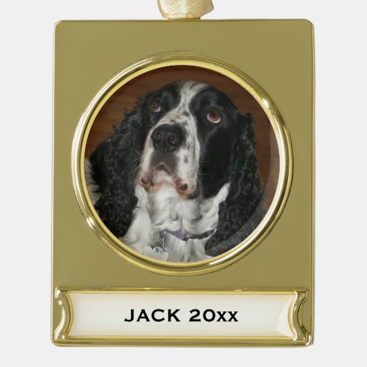 Engelse Springer Spaniel Pet Foto Verguld Banner Ornament (Voorkant)