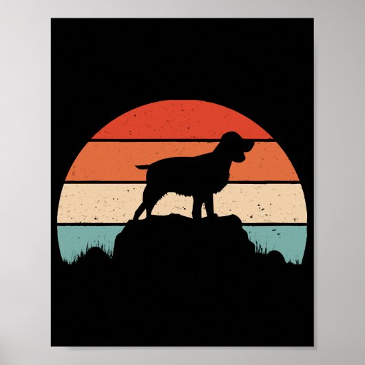 Engelse springer spaniel poster (Voorkant)