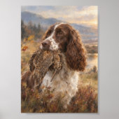 Engelse Springer Spaniel Poster (Voorkant)