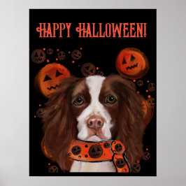 Engelse Springer Spaniel       Poster