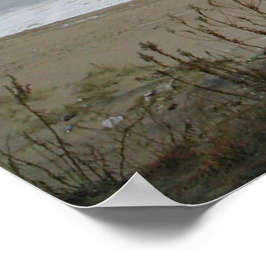 Engelse Springer Spaniel Print (Hoek)