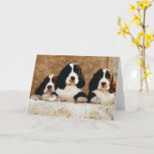 Engelse Springer Spaniel-Puppies Kaart (Gele Bloem)