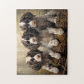 Engelse springer spaniel puppies legpuzzel (Verticaal)