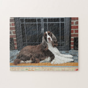 Engelse Springer Spaniel Puzzle Legpuzzel
