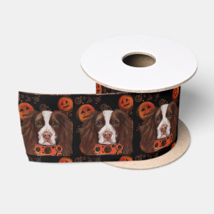 Engelse Springer Spaniel       Satijnen Lint