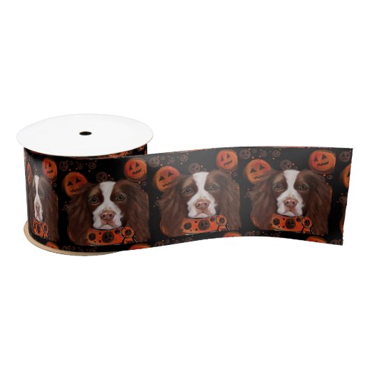 Engelse Springer Spaniel       Satijnen Lint (Spoel)