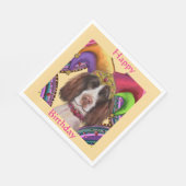 ENGELSE SPRINGER SPANIEL SERVET (Hoek)