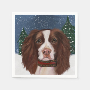 ENGELSE SPRINGER SPANIEL         SERVET