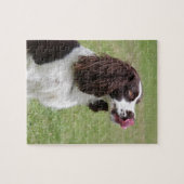 Engelse Springer Spaniel-sessie Legpuzzel (Horizontaal)