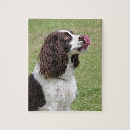 Engelse Springer Spaniel-sessie Legpuzzel (Verticaal)