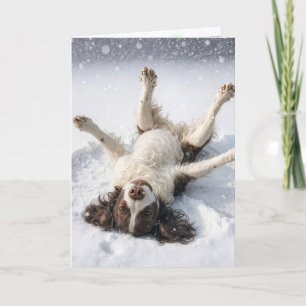 Engelse Springer Spaniel Sneeuwengel Feestdagen Kaart