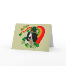 Engelse Springer Spaniel St Patricks Day