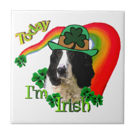 Engelse Springer Spaniel St. Pattys Tegeltje
