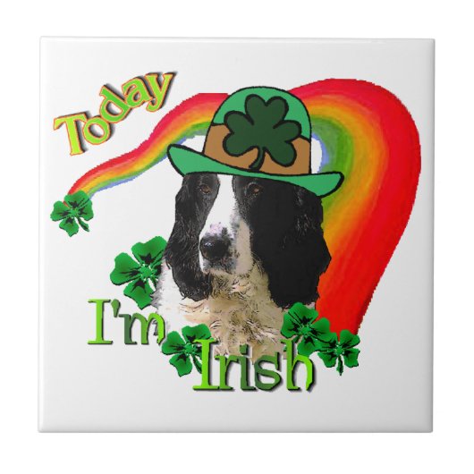 Engelse Springer Spaniel St. Pattys Tegeltje (Voorkant)