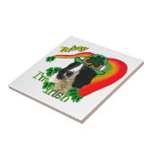 Engelse Springer Spaniel St. Pattys Tegeltje (Zijkant)