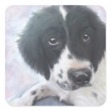 Engelse Springer Spaniel Sticker