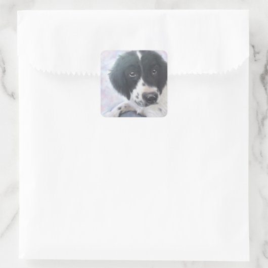 Engelse Springer Spaniel Sticker (Tas)