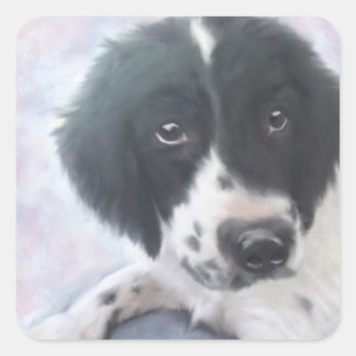 Engelse Springer Spaniel Sticker