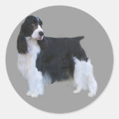 Engelse Springer Spaniel Sticker (Voorkant)