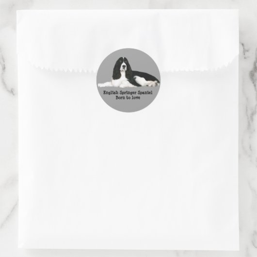 Engelse Springer Spaniel Sticker (Tas)