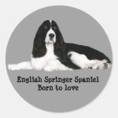 Engelse Springer Spaniel Sticker (Voorkant)