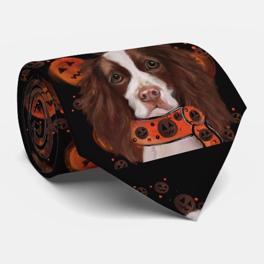 Engelse Springer Spaniel       Stropdas (Opgerold)