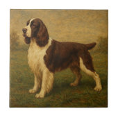 Engelse Springer Spaniel Tegeltje (Voorkant)