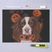 Engelse Springer Spaniel Tissuepapier (Craft)