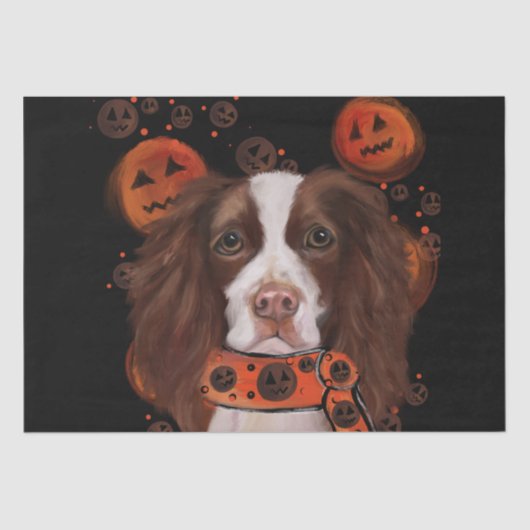 Engelse Springer Spaniel Tissuepapier (Voorkant)