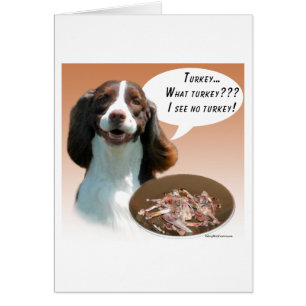 Engelse Springer Spaniel Turkije