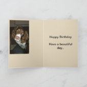 Engelse springer spaniel verjaardagskaart kaart (Binnen)