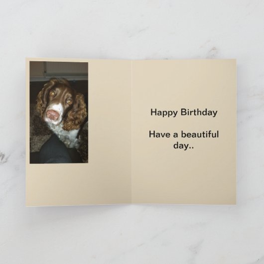 Engelse springer spaniel verjaardagskaart kaart (Binnen)