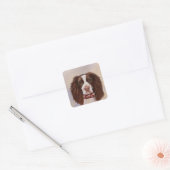 ENGELSE SPRINGER SPANIEL    VIERKANTE STICKER (Envelop)