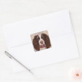 ENGELSE SPRINGER SPANIEL VIERKANTE STICKER (Envelop)
