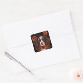 Engelse Springer Spaniel        Vierkante Sticker (Envelop)
