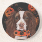 Engelse Springer Spaniel Zandsteen Onderzetter (Voorkant)