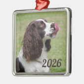 Engelse Springer Spaniel zitten, likken lippen Metalen Ornament (Links)
