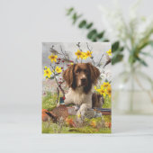 Engelse Springer Spaniels, kunst Briefkaart (Staand voorkant)
