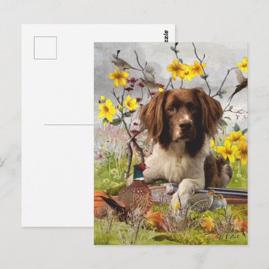 Engelse Springer Spaniels, kunst Briefkaart (Voorkant / Achterkant)