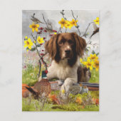 Engelse Springer Spaniels, kunst Briefkaart (Voorkant)