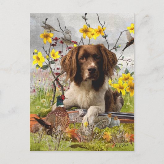 Engelse Springer Spaniels, kunst Briefkaart (Voorkant)