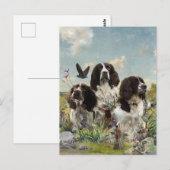 Engelse Springer Spaniels, kunst Briefkaart (Voorkant / Achterkant)