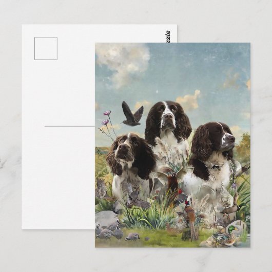 Engelse Springer Spaniels, kunst Briefkaart (Voorkant / Achterkant)