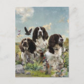 Engelse Springer Spaniels, kunst Briefkaart (Voorkant)