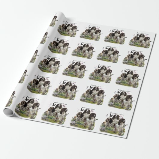 Engelse Springer Spaniels, kunst Cadeaupapier (Uitgerold)