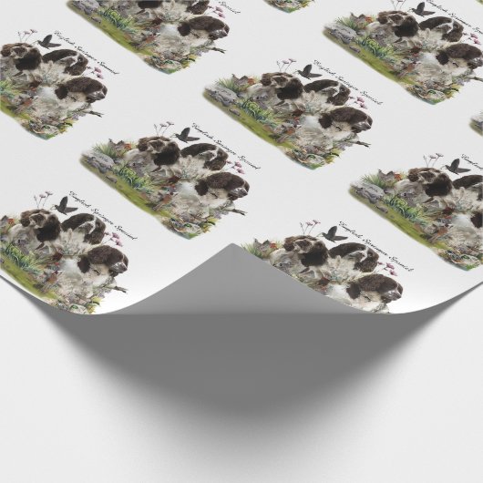 Engelse Springer Spaniels, kunst Cadeaupapier (Hoek)