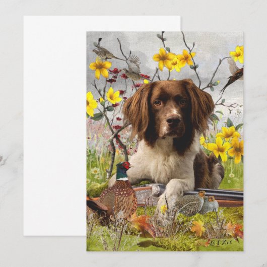 Engelse Springer Spaniels, kunst Kaart (Voorkant / Achterkant)